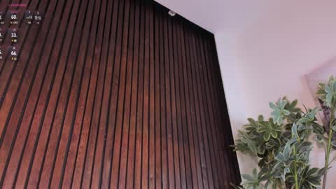     online show from January 16, 2025, 3:13 pm