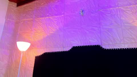  Jenny  online show from March 26, 2026, 11:16 am