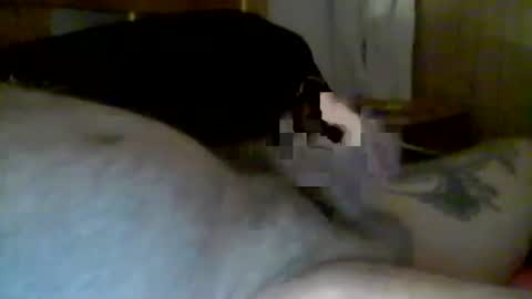 Snapshot of jerkmate6666 chatting on January 13, 2025, 10:14 am jerkmate6666 online show from January 13, 2025, 10:14 am