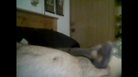 Snapshot of jerkmate6666 chatting on September 16, 2025, 11:50 pm jerkmate6666 online show from September 16, 2025, 11:50 pm