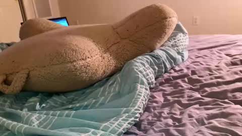 Snapshot of jessesbubble chatting on June 11, 2026, 2:53 am Jesse online show from June 11, 2026, 2:53 am