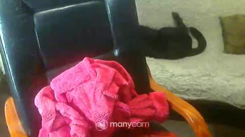 Snapshot of jessjess4you chatting on February 2, 2025, 6:04 am jessjess4you online show from February 2, 2025, 6:04 am