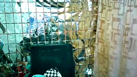 Ale online show from February 16, 2025, 1:16 pm