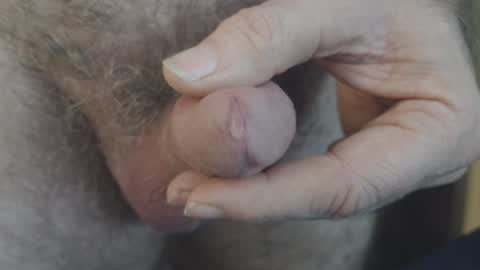 Snapshot of jimpatm chatting on January 1, 2025, 12:44 pm Jim online show from January 1, 2025, 12:44 pm