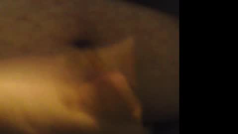 Snapshot of jkburrows035 chatting on February 21, 2026, 6:25 am firejoepro2 online show from February 21, 2026, 6:25 am