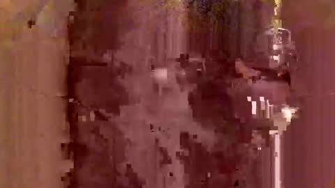 jodlsepp online show from December 12, 2024, 11:47 pm