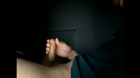 Snapshot of joee0202 chatting on October 7, 2025, 1:47 am joee0202 online show from October 7, 2025, 1:47 am