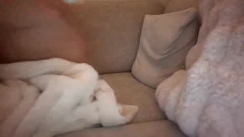 joeybanan online show from December 14, 2025, 8:09 am