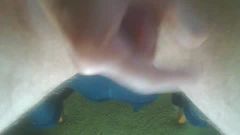 John Death online show from October 14, 2025, 10:16 am