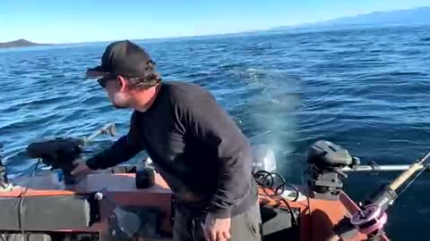 johnandmarie_ online show from October 5, 2025, 11:13 pm