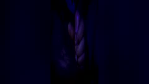 johnbruce23 online show from June 25, 2026, 11:37 am