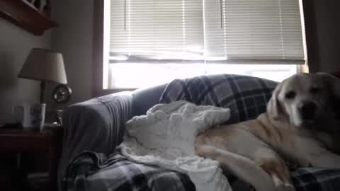 Snapshot of johstondude chatting on November 5, 2025, 1:44 pm Johston online show from November 5, 2025, 1:44 pm