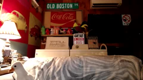 Johston online show from August 4, 2026, 4:04 am