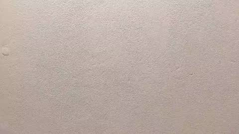 joseph palacios online show from September 13, 2025, 6:51 pm