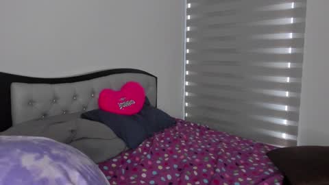 Snapshot of josh_and_dilany chatting on January 22, 2025, 5:28 pm Dilany Josh online show from January 22, 2025, 5:28 pm