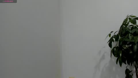 sofiaparker8 online show from July 26, 2026, 11:33 pm
