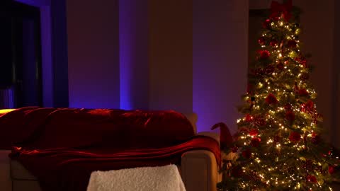 Jennifer Diaz online show from December 21, 2024, 6:23 pm