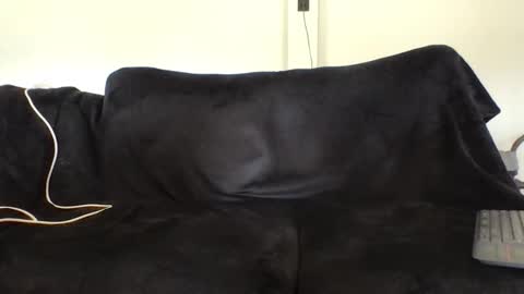 Snapshot of juanmamestre94 chatting on February 27, 2026, 2:39 pm juanmamestre94 online show from February 27, 2026, 2:39 pm