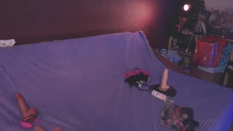 Arina online show from January 26, 2025, 7:41 pm