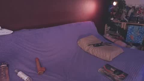 Arina online show from February 28, 2025, 4:42 pm