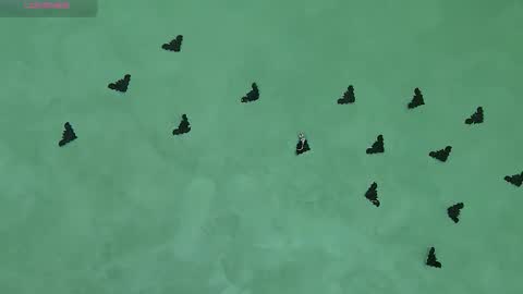 Snapshot of juicyjullia chatting on November 5, 2025, 8:47 am Julia online show from November 5, 2025, 8:47 am