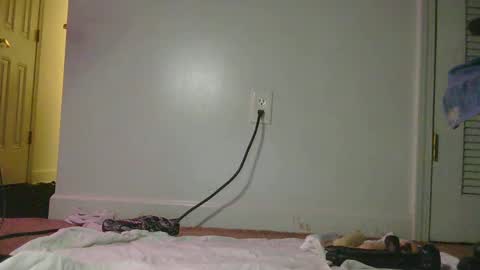 Snapshot of juiicybee chatting on February 13, 2025, 4:11 am Juiicy Bunns online show from February 13, 2025, 4:11 am
