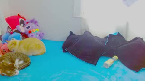  Juliana Torres  online show from January 7, 2026, 6:32 pm