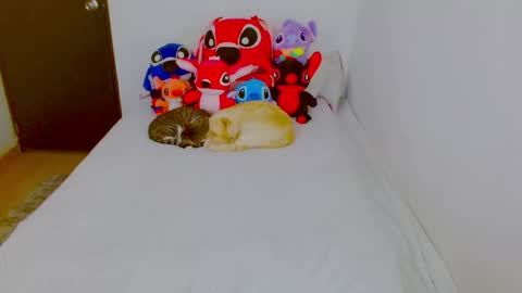  Juliana Torres  online show from February 25, 2026, 8:29 pm