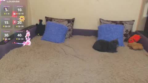 Snapshot of juliasane_ chatting on February 5, 2026, 7:35 am Jul online show from February 5, 2026, 7:35 am