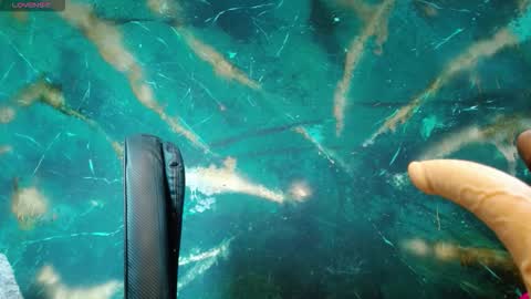    online show from September 27, 2025, 4:50 am