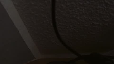 Snapshot of junction1000 chatting on February 25, 2025, 12:34 pm Gregor online show from February 25, 2025, 12:34 pm