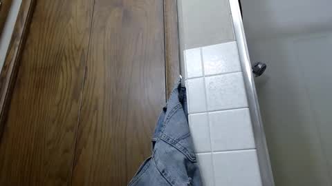 Snapshot of junk_yard_dog chatting on January 10, 2025, 12:58 pm Dave online show from January 10, 2025, 12:58 pm