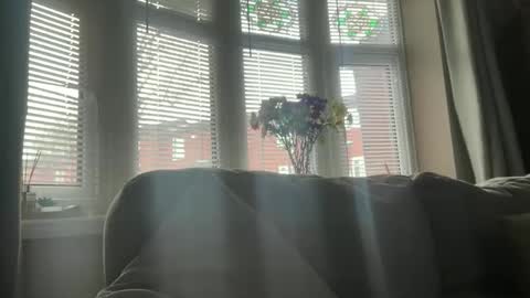 Snapshot of junky345 chatting on April 21, 2026, 7:14 am Junky online show from April 21, 2026, 7:14 am