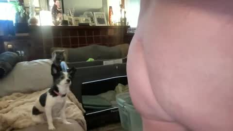 Flirty influncer online show from February 10, 2026, 9:52 pm