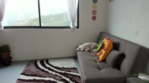 Sofia online show from March 7, 2025, 2:34 pm