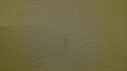 Snapshot of just_marlon chatting on March 3, 2025, 2:15 am Just marlon online show from March 3, 2025, 2:15 am