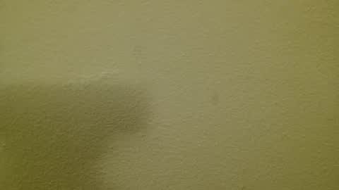 Snapshot of just_marlon chatting on March 3, 2025, 8:21 pm Just marlon online show from March 3, 2025, 8:21 pm