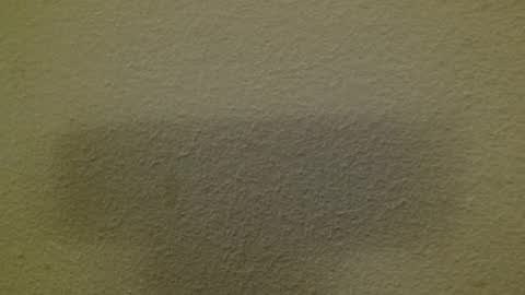 Snapshot of just_marlon chatting on March 8, 2025, 3:17 am Just marlon online show from March 8, 2025, 3:17 am