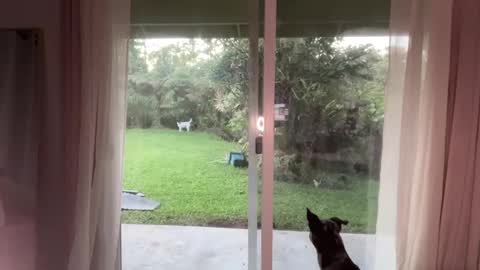 Snapshot of kaileeshy chatting on January 8, 2025, 3:51 am Kailee Smile online show from January 8, 2025, 3:51 am