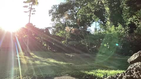 Snapshot of kaileeshy chatting on September 10, 2025, 3:28 am Kailee Smile online show from September 10, 2025, 3:28 am