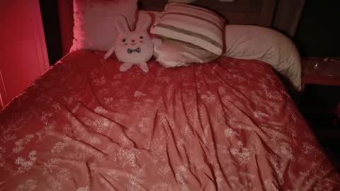 Snapshot of kaileeshy chatting on November 18, 2025, 4:28 am Kailee Smile online show from November 18, 2025, 4:28 am