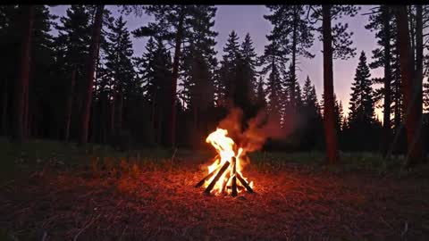 Snapshot of kaileeshy chatting on January 9, 2026, 4:26 am Kailee Smile online show from January 9, 2026, 4:26 am