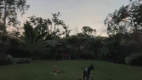 Kailee Smile online show from April 24, 2026, 4:15 am