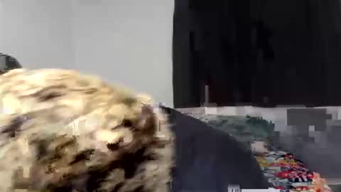 kammy   y   camila online show from April 9, 2026, 12:54 am