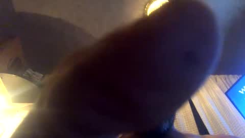 Tucker online show from September 23, 2025, 8:06 am