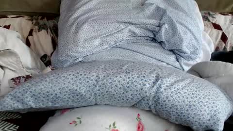 Snapshot of kaonashi69 chatting on January 19, 2025, 6:21 pm kaonashi69 online show from January 19, 2025, 6:21 pm