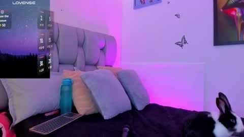 Karin    online show from February 9, 2025, 8:33 am