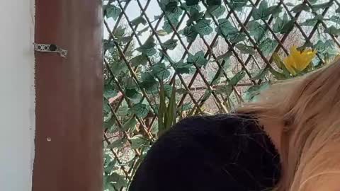 Snapshot of karoline121 chatting on March 17, 2026, 9:12 am karoline121 online show from March 17, 2026, 9:12 am