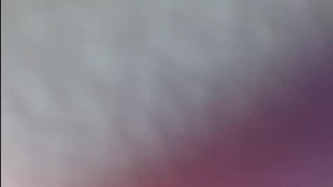 karol online show from April 7, 2026, 5:46 pm