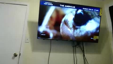 Snapshot of kashmoniy chatting on February 11, 2025, 7:44 am kashmoniy online show from February 11, 2025, 7:44 am